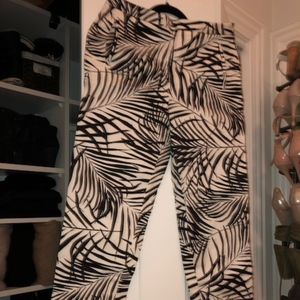 Palm Tree Pants